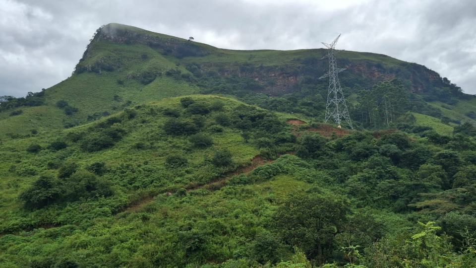 A grass-covered mountain