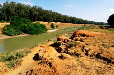 Muddy riverside