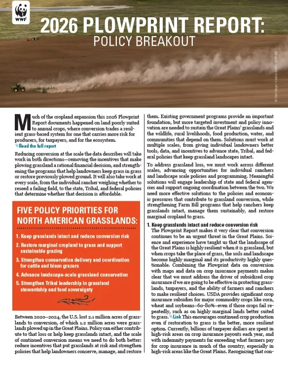 Cover of 2026 Plowprint Report Policy Brief