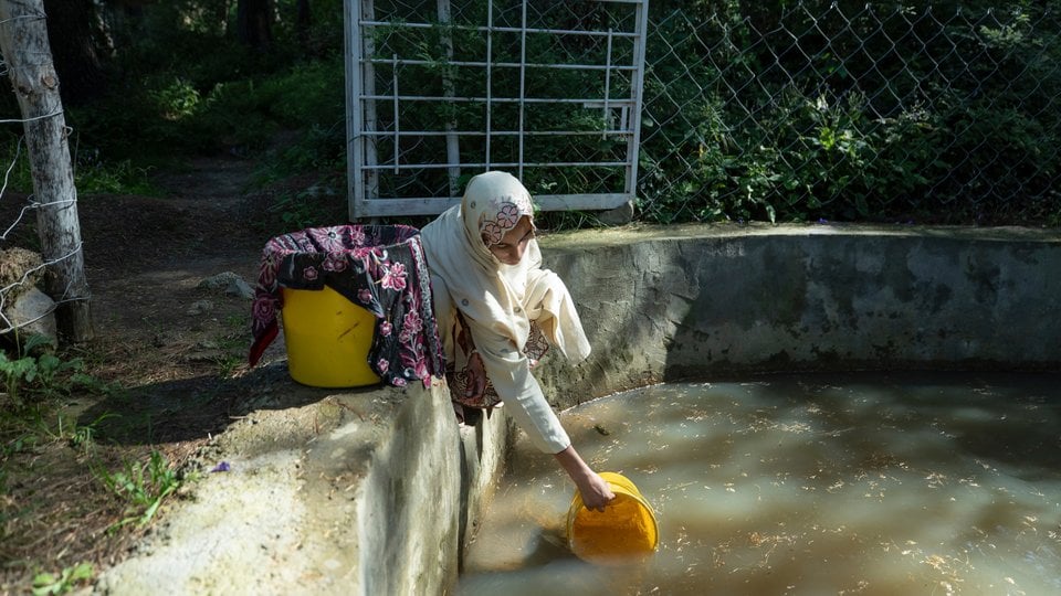 A woman leaning over, collecting water from a pool in a bucket