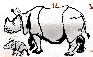 Greater one-horned rhino and calf illustration