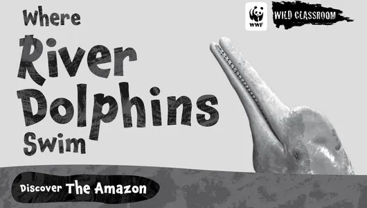 black and white cover image of Wild Classroom's storybook Where River Dolphins Swim
