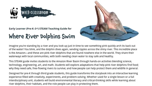 preview of the STEAM Guide for Where River Dolphins Swim storybook