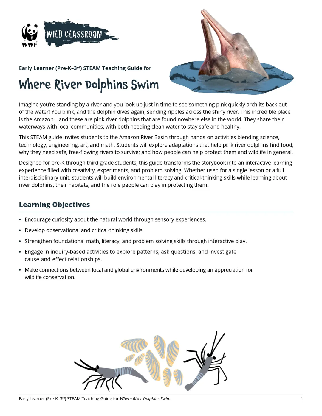 preview of the STEAM Guide for Where River Dolphins Swim