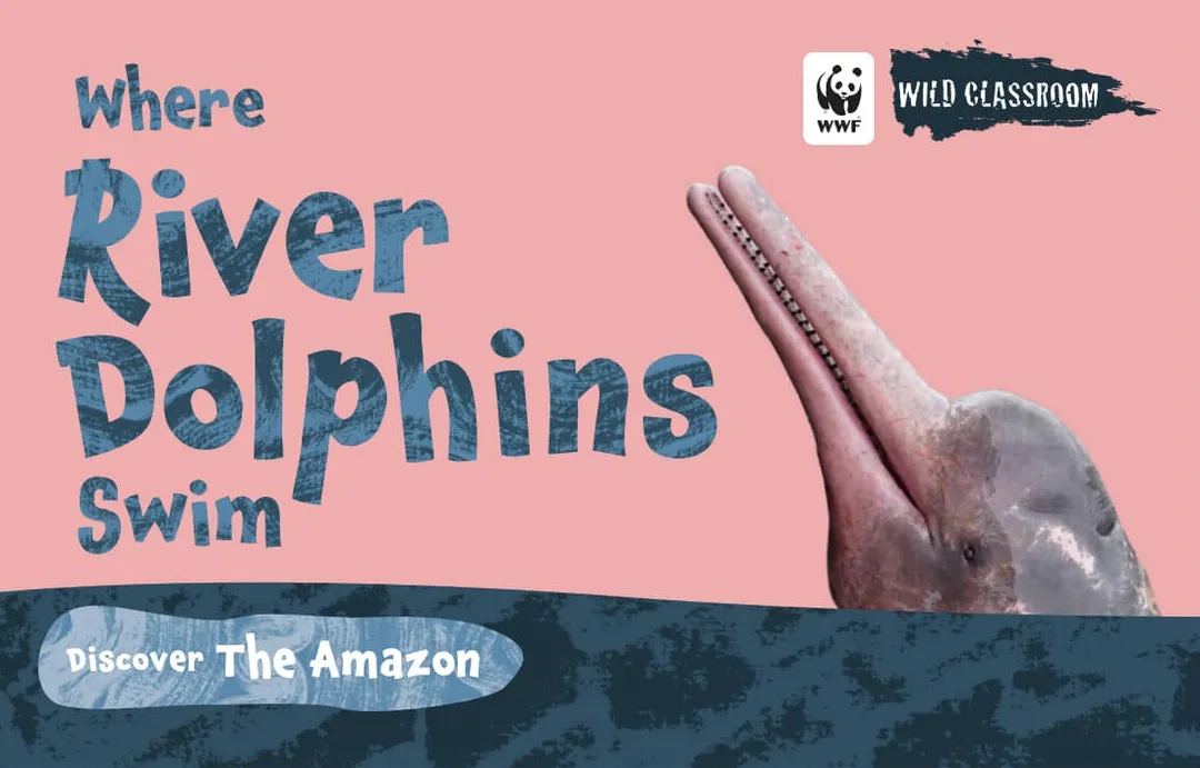 cover image for Wild Classroom's storybook Where River Dolphins Swim