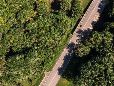 Aerial photo of a road in a forested area