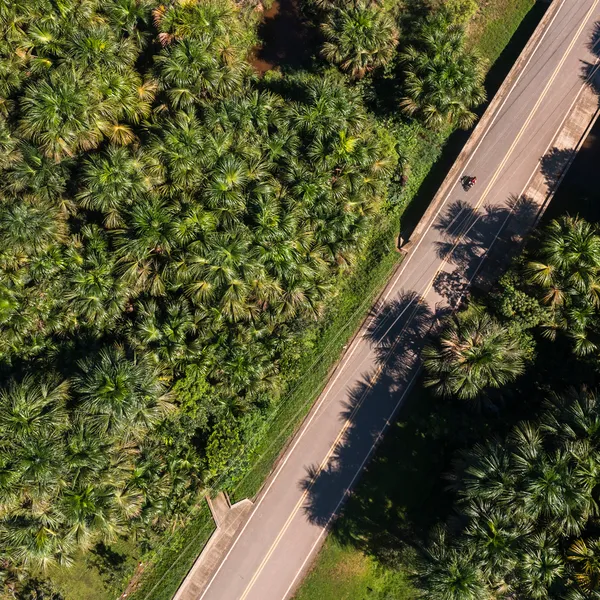 Aerial photo of a road in a forested area