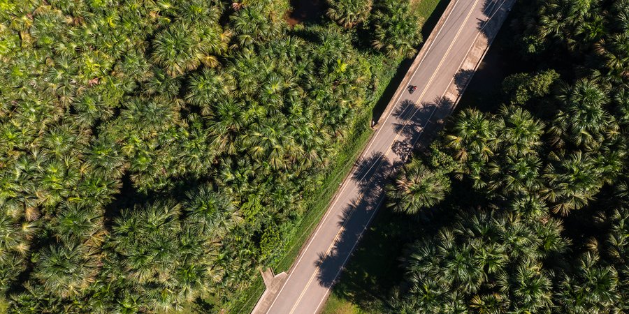 Aerial photo of a road in a forested area
