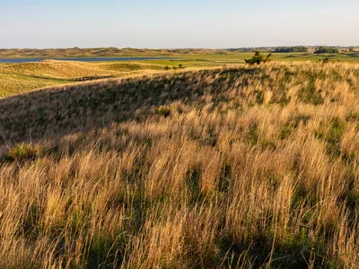 Warm light shines on brown and green hilly grasslands with a bit of bright blue water in the background
