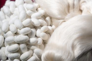 silk cocoons and spun silk in a basket