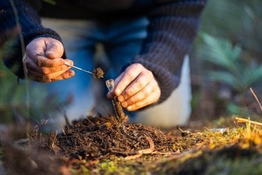 A close up of a person collecting a soil sample into a test tube