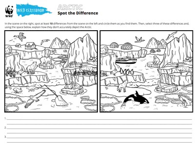 Arctic Spot the Difference Preview