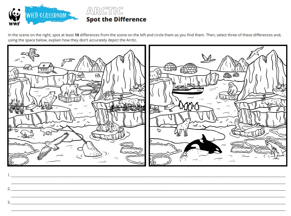Arctic Spot the Difference Preview