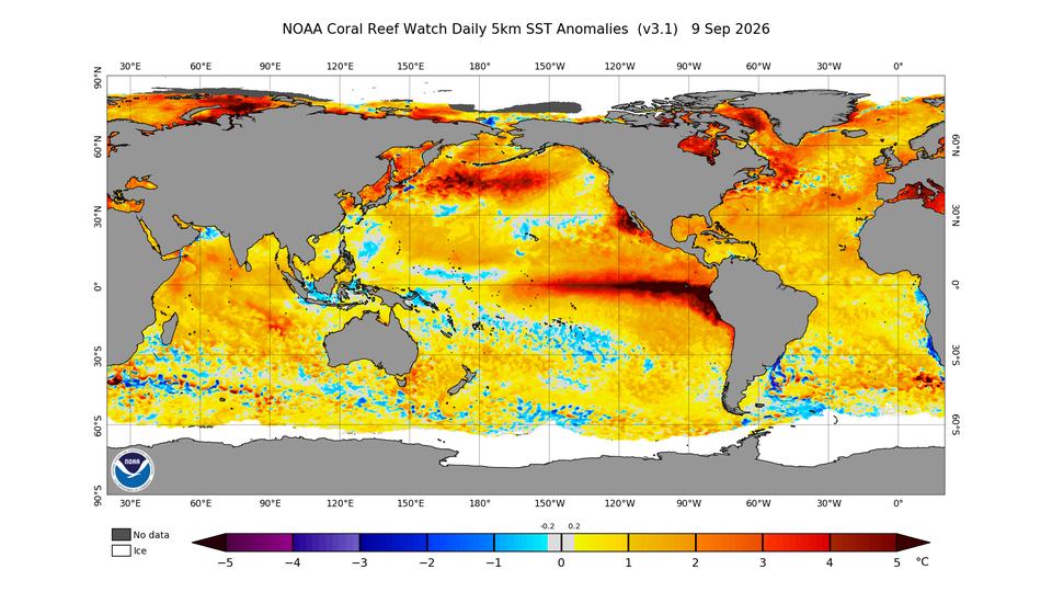 Map of the earth showing sea surface temperatures on Sept 10, 2026
