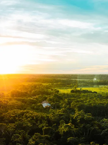 Sunrise over the Madre de Dios forest in Peru