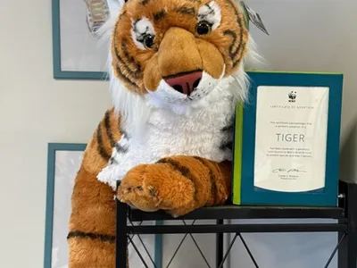 Stuffed tiger