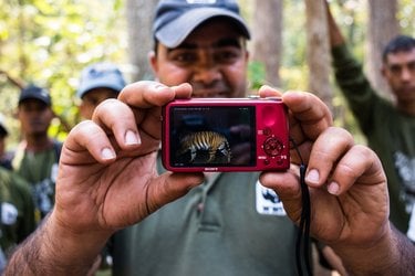 Officer holding camera with tiger image on screen