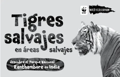 Cover of Spanish tiger storybook (b&w)
