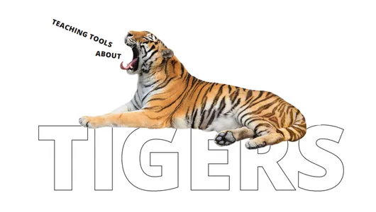 Tiger - Educators Resource Guide Cover