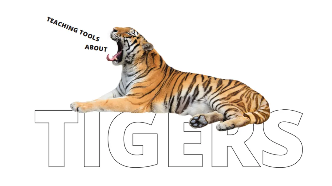 Tiger - Educators Resource Guide Cover