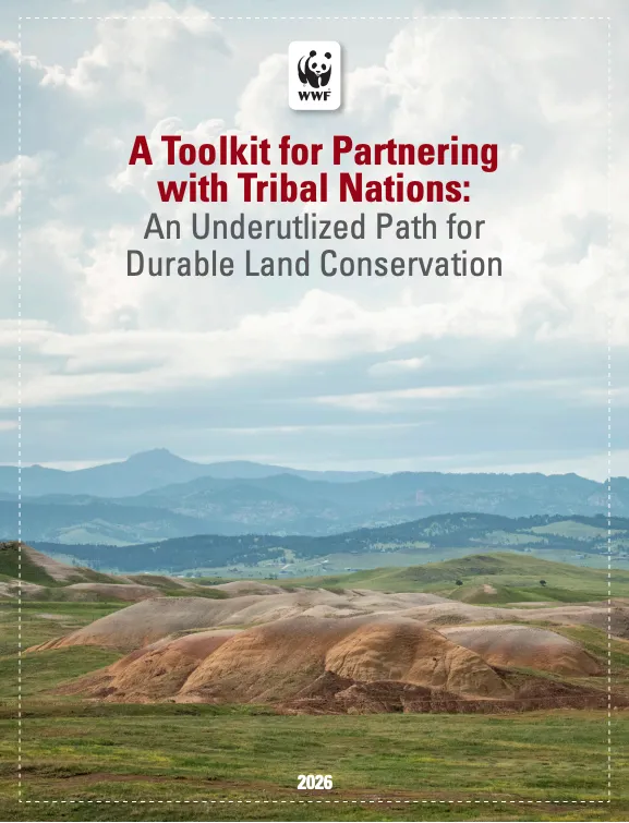 Cover with a vast landscape on a cloudy day. Title of the publication is centered with the WWF logo.