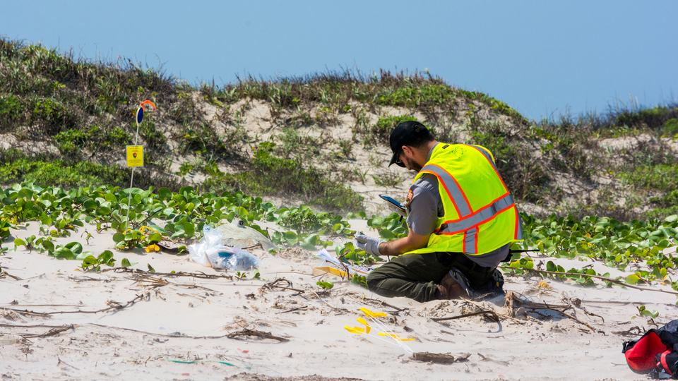 Man in hi-visibility vest kneels over turtle nest with camera