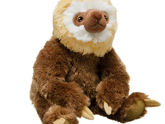 A two-toed sloth plush against a white background