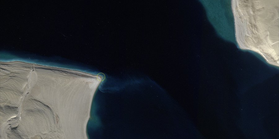Satelitte image showing coastline with walrus community circled