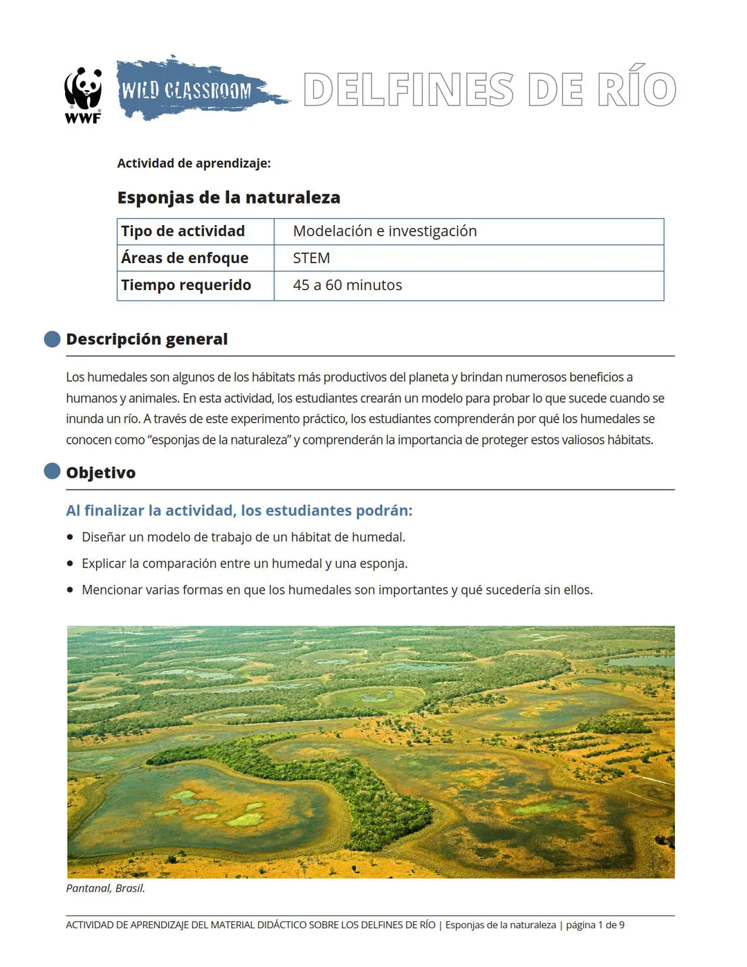 Esponjas de la naturaleza