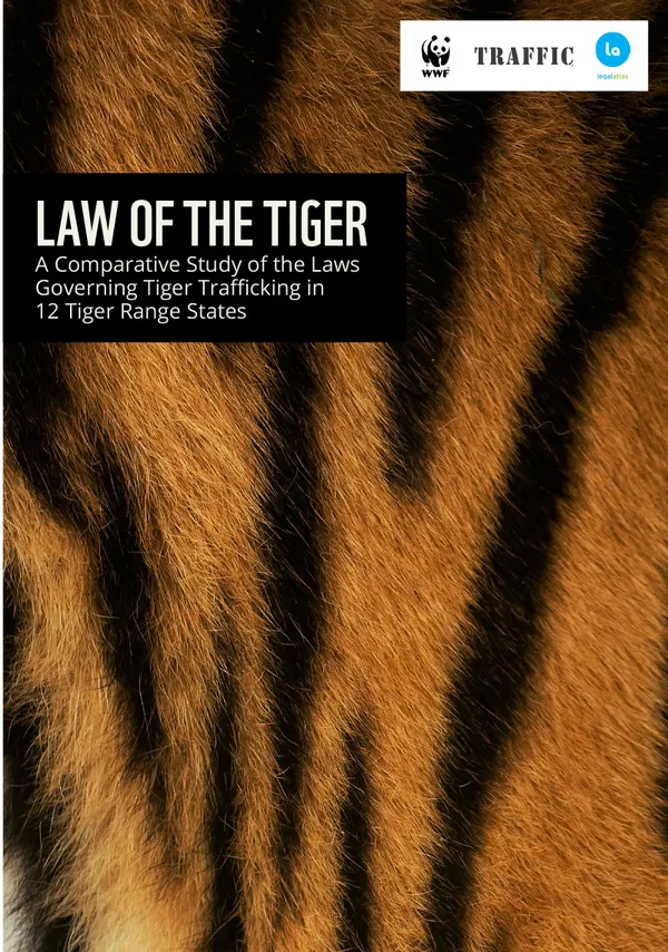 Law of the Tiger 2025 cover