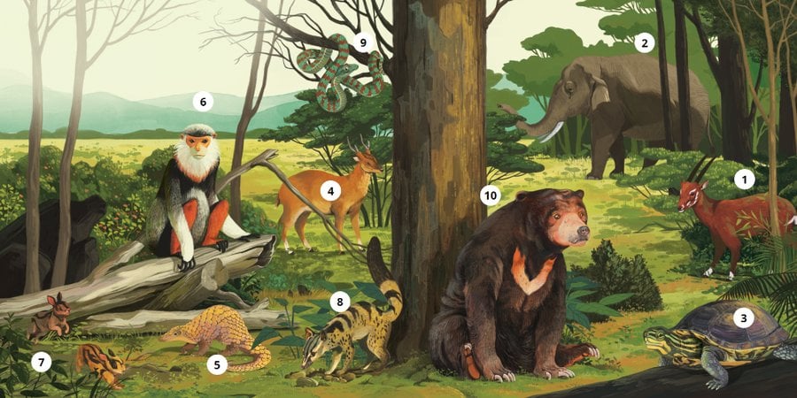An illustration of wildlife in Viet Nam with numbers corresponding to information below.