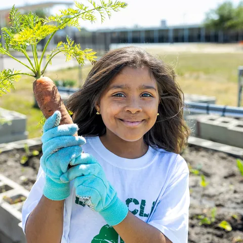 A student gardener holds up a large carrot