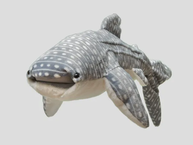 A whale shark plush against a gray background