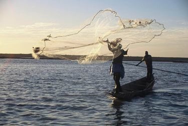 Artisanal fisherman casts net fishing on the Niger River at sunset near Mopti, Mali