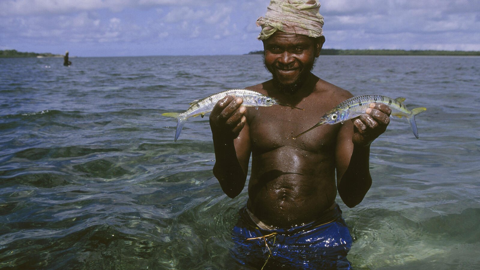 Wild Fish Capture Protecting Oceans Through Sustainable Fishing and Conservation | WWF