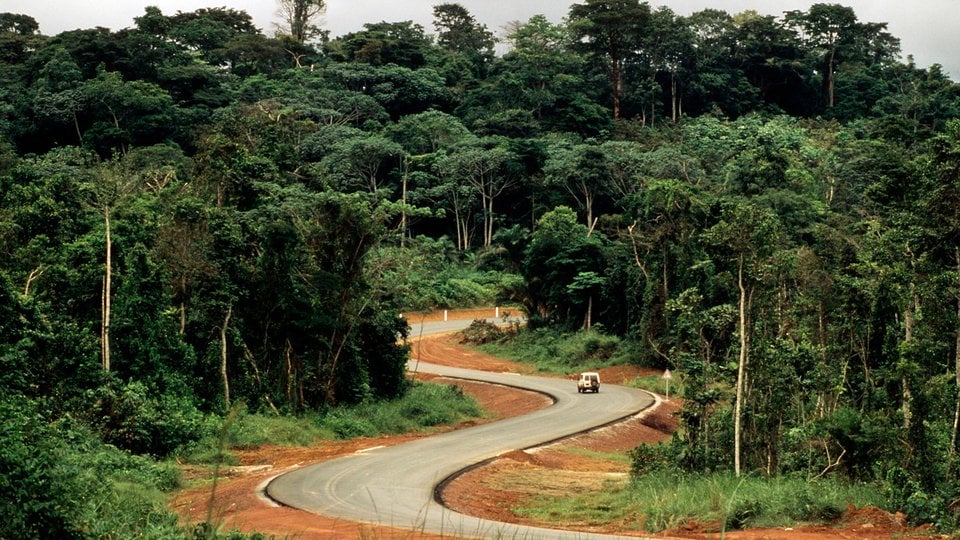 A truck on a winding road through a jungle