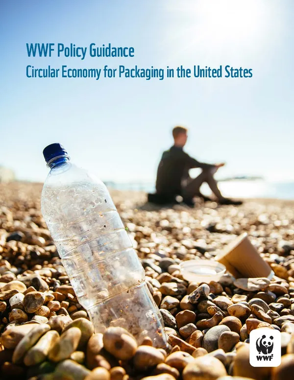 cover of the report shows a plastic bottle on a beach