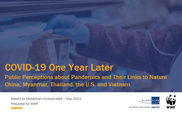 report cover with photo of gloved hand reaching out for items on a shelf