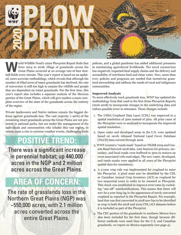 report cover with illustration of bird in profile against backdrop of plowed grasslands