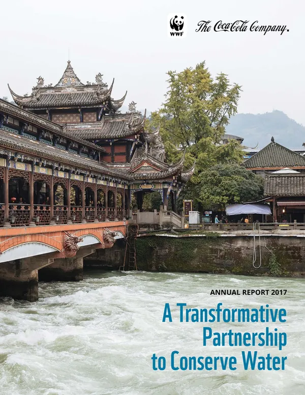 report cover featuring photo of covered bridge over rushing water