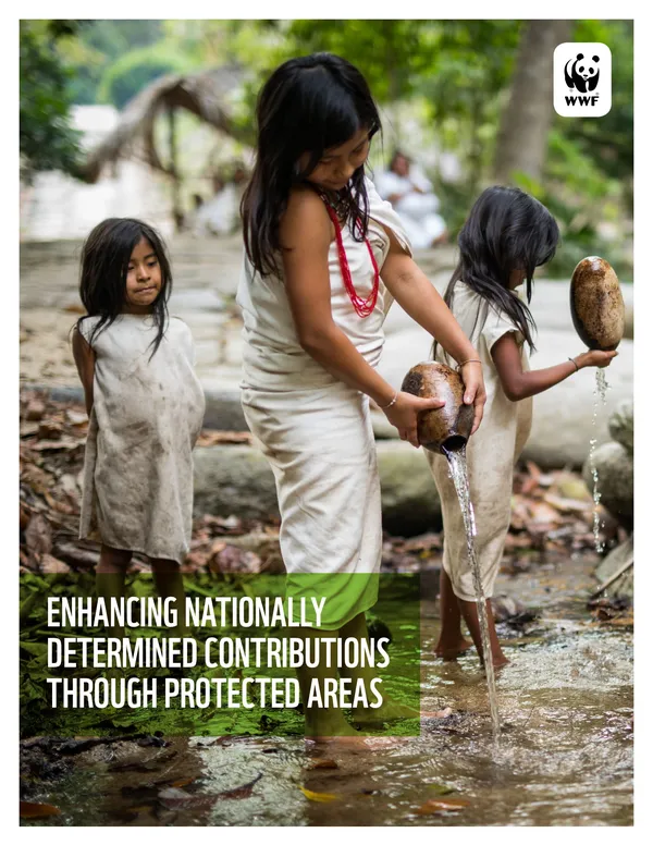 report cover featuring three children with vessels standing in river