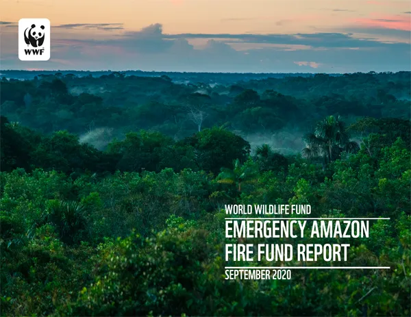 report cover with aerial photo of amazon forest and background setting sun