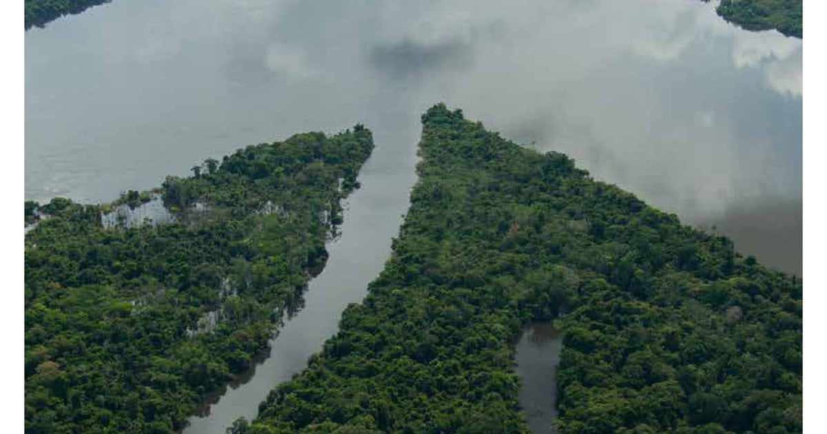 10 Rivers at Risk | WWF
