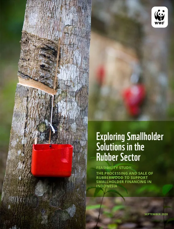 report cover with photo of tapped rubber tree with red bucket
