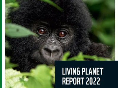 cover of WWF 2022 Living Planet Report