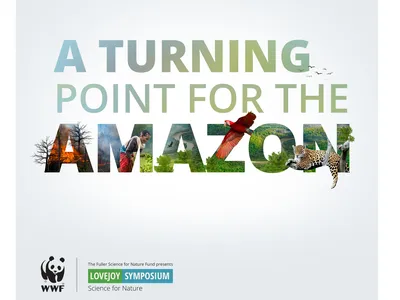 The words "A turning point for the Amazon" are created from the imagery of the plants and animals of the Amazon
