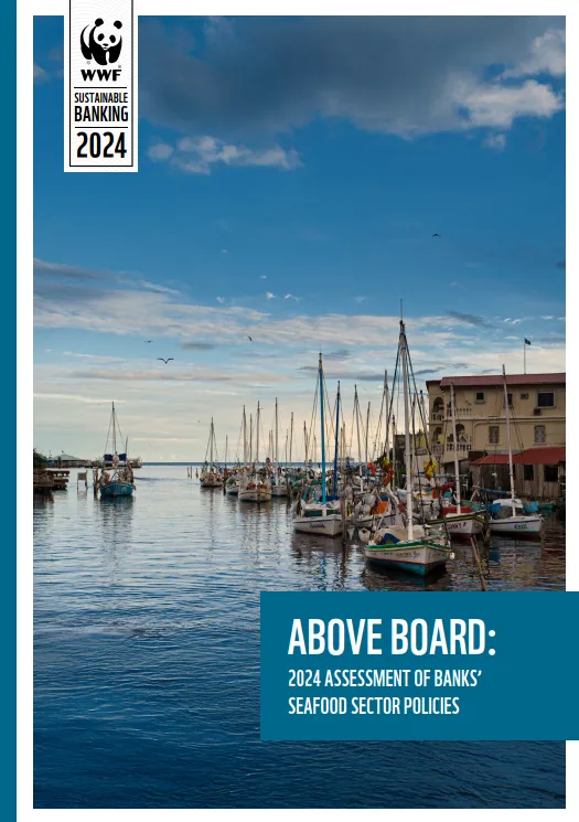 Above Board Report 2024 thumbnail