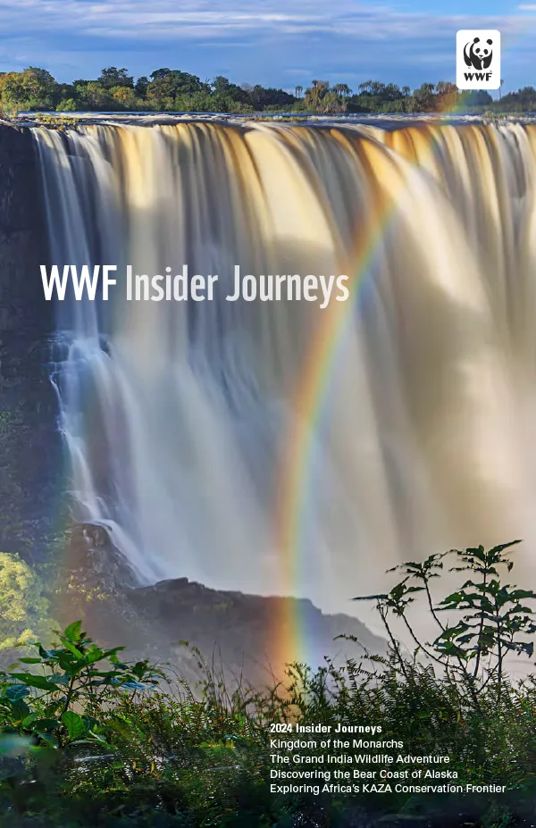 Cover of brochure with waterfall and rainbow