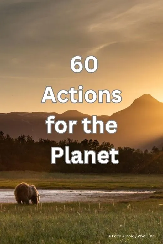 60 Actions for the Planet 2025