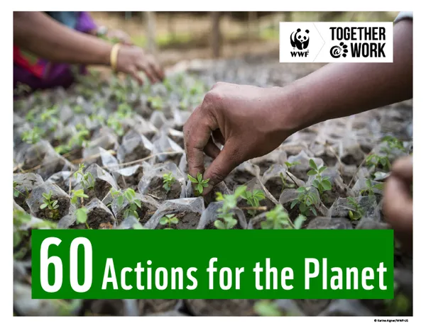 Cover of 60 Actions for the Planet showing hand planting seedlings